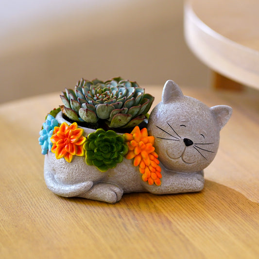 Nacome Cat Succulent Flower Plant Pots: Cute Planters for Outdoor Outside Office Decor Small Plants Cactus Live for Garden Home Desk Indoor – Plant Lovers Gifts for Mom/Women/Grandma